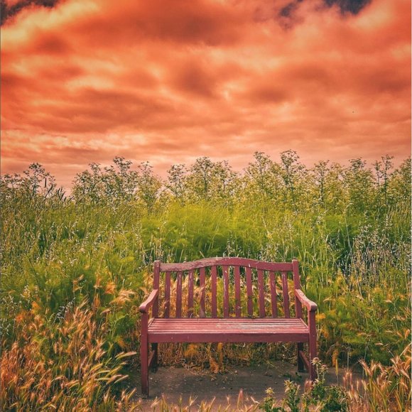 Hello! Welcome to my crazy closet!! - Picture 8 of 14